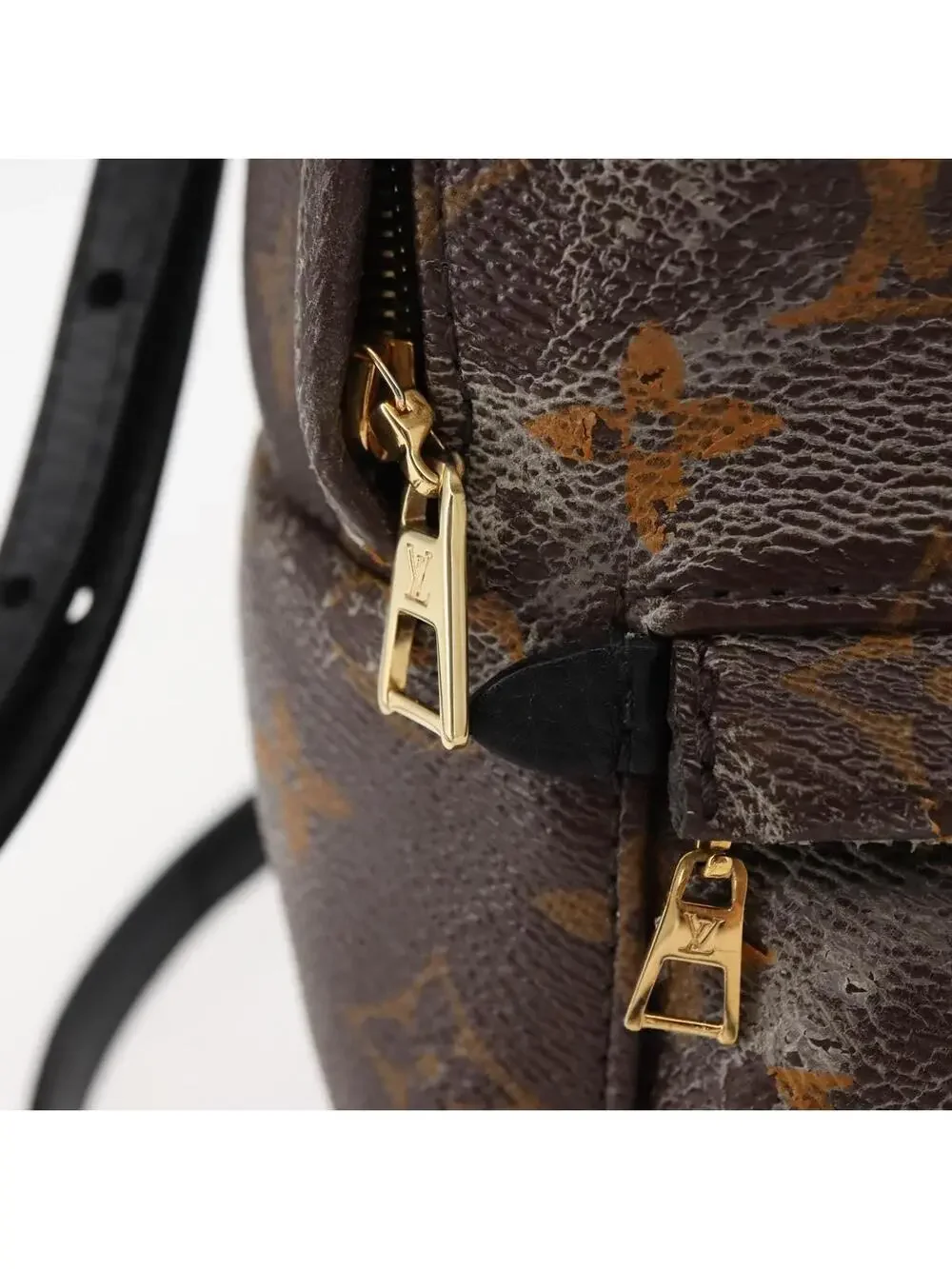 Louis Vuitton Palm Springs Mini #344439L69B